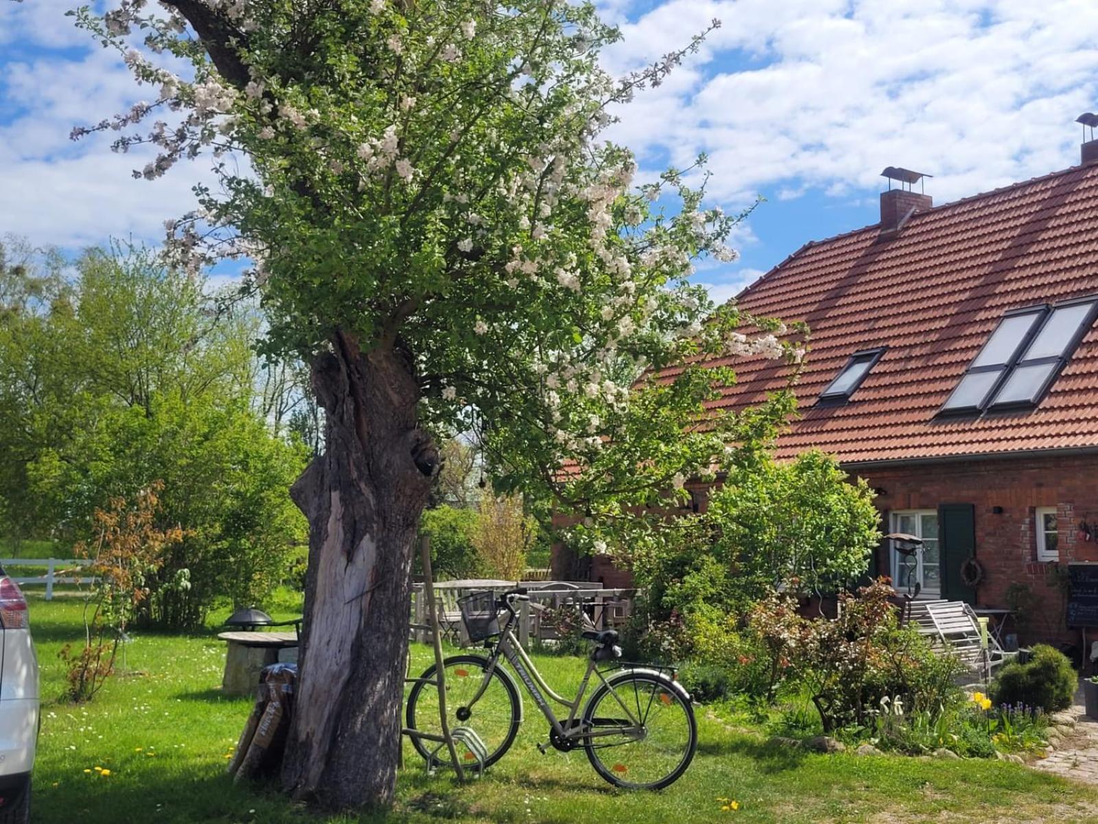 Seminar Und Landhaus Schoenbeck Schonbeck  Exterior foto